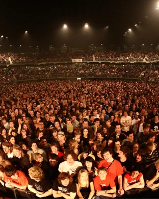 Bearly Dead - Grateful Dead Tribute