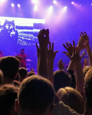 Tom Hamilton Wilmington