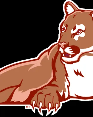 Charleston Cougars vs. North Carolina Wilmington Seahawks