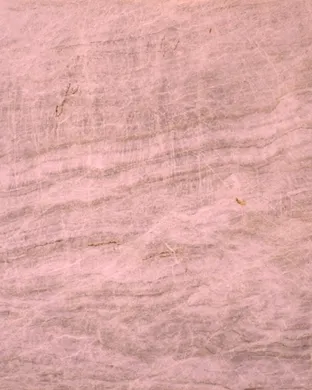 Taj Mahal & The Phantom Blues Band