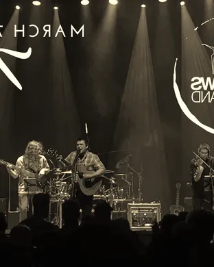The Dave Matthews Tribute Band