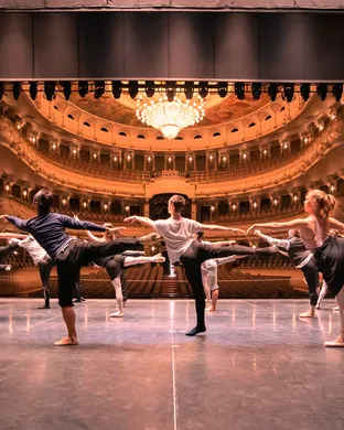 World Ballet Company: Swan Lake