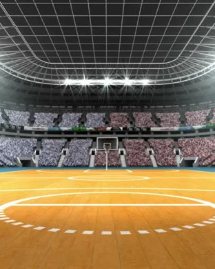 Hofstra Pride Basketball