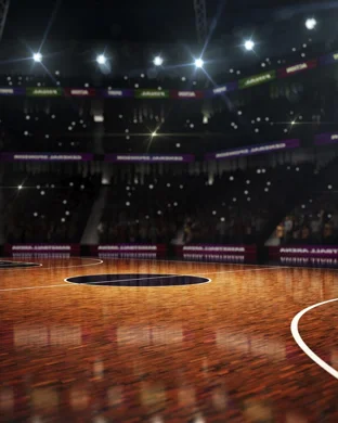 Stony Brook Seawolves Basketball